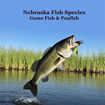 Nebraska Game Fish and Panfish Species Kids Book