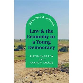 Law and the Economy in a Young Democracy