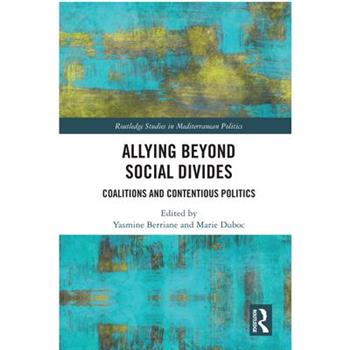 Allying Beyond Social Divides