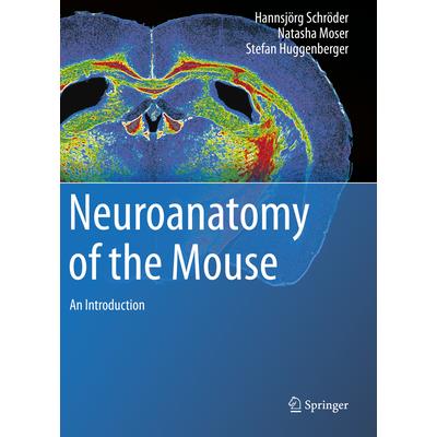 Neuroanatomy of the Mouse