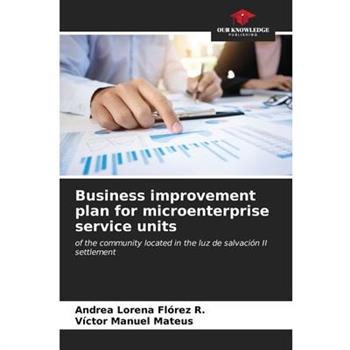 Business improvement plan for microenterprise service units