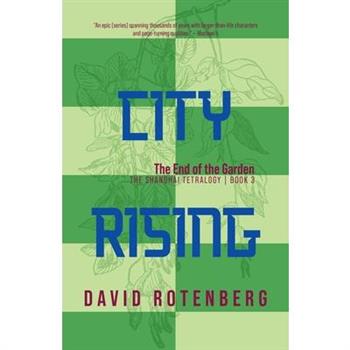 City Rising - Volume 3