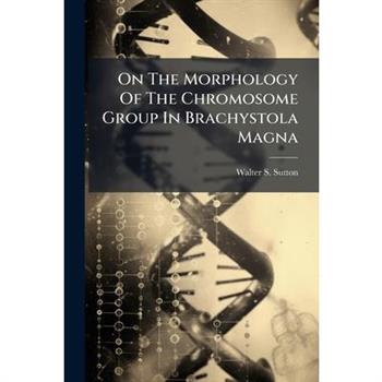 On The Morphology Of The Chromosome Group In Brachystola Magna