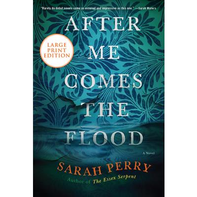 After Me Comes the Flood