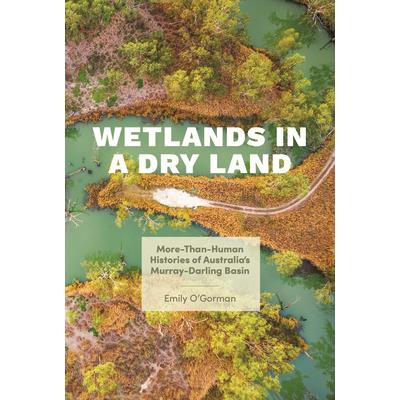 Wetlands in a Dry Land