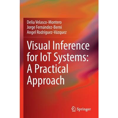 Visual Inference for Iot Systems: A Practical Approach