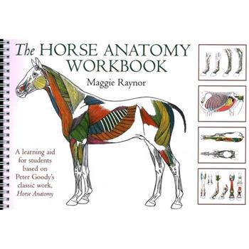 THe Horse Anatomy Workbook