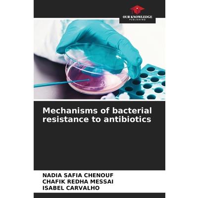 Mechanisms of bacterial resistance to antibiotics