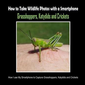 Grasshoppers, Katydids and Crickets