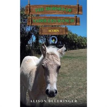 The Horses of Saddlers Ranch