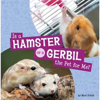 Is a Hamster or a Gerbil the Pet for Me?