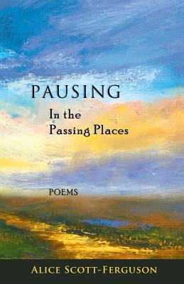 Pausing in the Passing Places