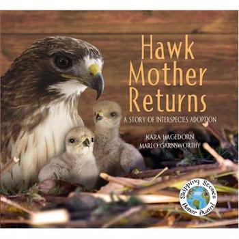 Hawk Mother Returns