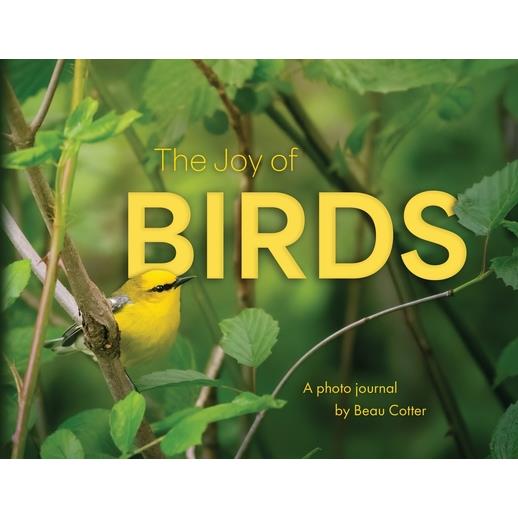 The Joy of Birds