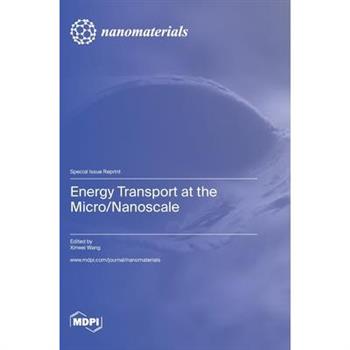 Energy Transport at the Micro/Nanoscale