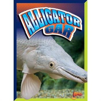 Alligator Gar