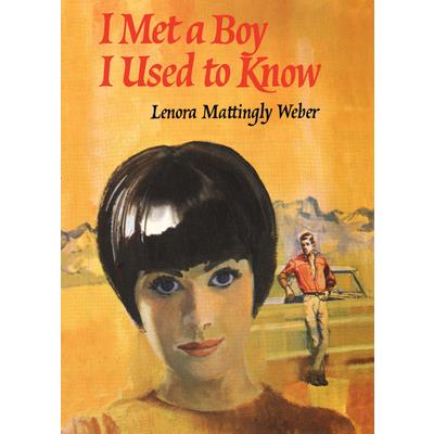 I Met a Boy I Used to Know