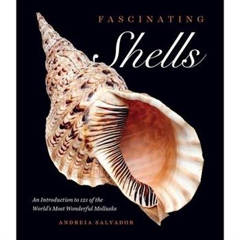 Fascinating Shells