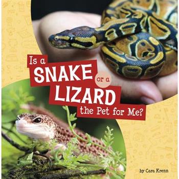Is a Snake or a Lizard the Pet for Me?