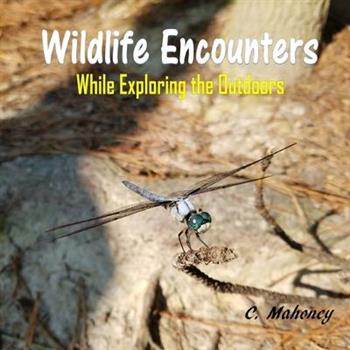 Wildlife Encounters while Exploring the Outdoors