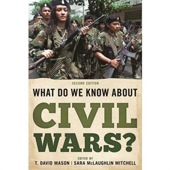What Do We Know about Civil Wars?