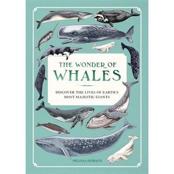 The Wonder of Whales