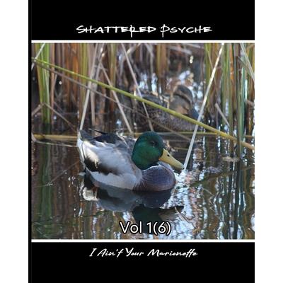 Shattered Psyche Vol 1(6)