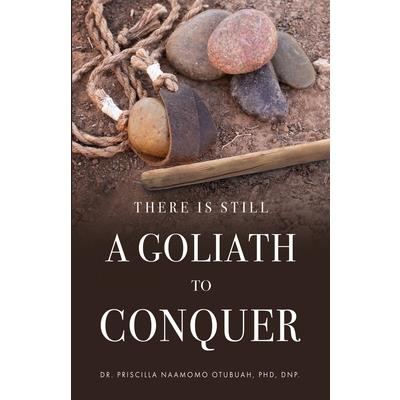 There is Still a Goliath to Conquer