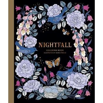 Nightfall Coloring Book