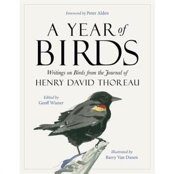 A Year of Birds
