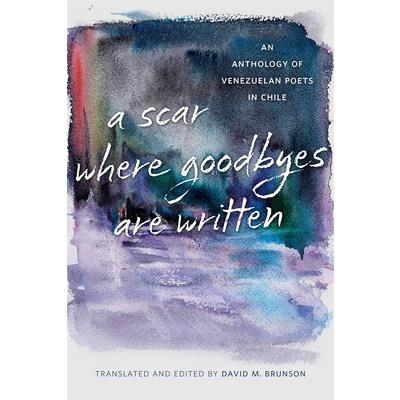 A Scar Where Goodbyes Are Written