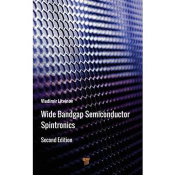 Wide Bandgap Semiconductor Spintronics
