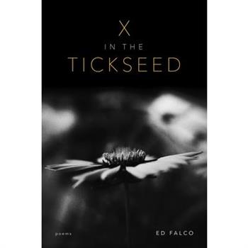 X in the Tickseed