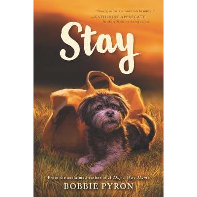 Stay