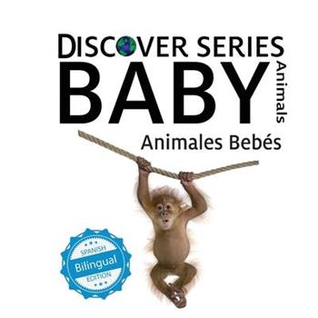 Baby Animals / Animales Beb矇s