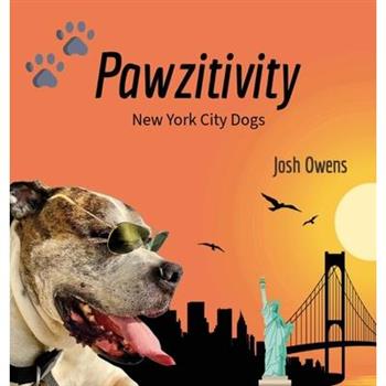 Pawzitivity New York City Dogs