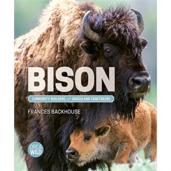 Bison