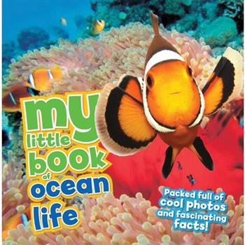 Ocean Life
