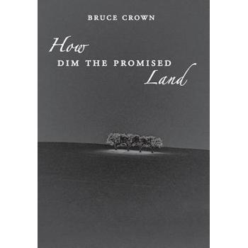 How Dim the Promised Land