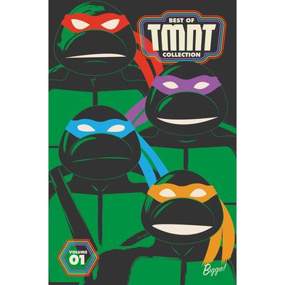 Best of Teenage Mutant Ninja Turtles Collection, Vol. 1