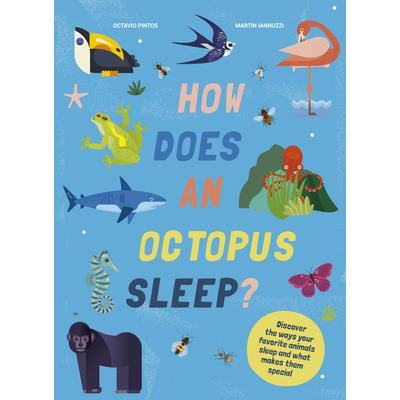 How Does an Octopus Sleep?