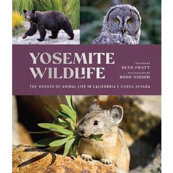 Yosemite Wildlife