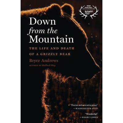 Down from the Mountain