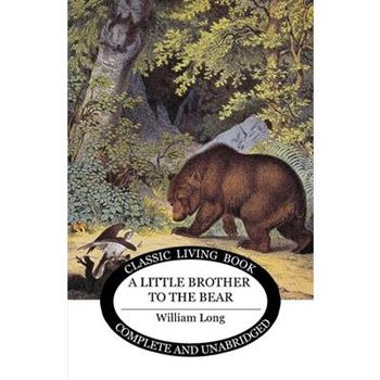 Little Brother to the Bear