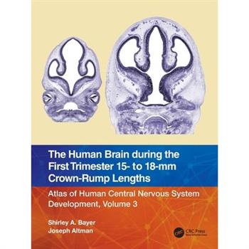The Human Brain During the First Trimester 15- To 18-MM Crown-Rump Lengths