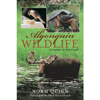 Algonquin Wildlife
