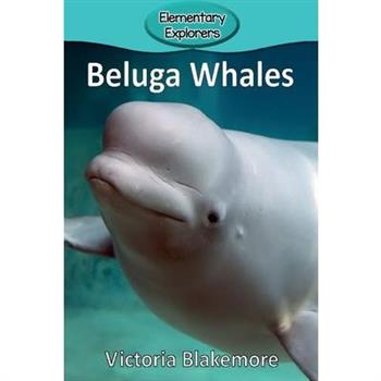 Beluga Whales