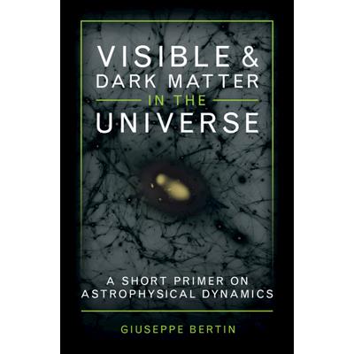 Visible and Dark Matter in the Universe