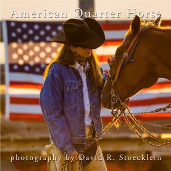 American Quarter Horse 2014 Ca(Wall)