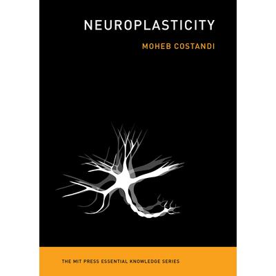 Neuroplasticity